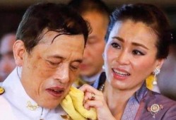安德鲁最新爆料西拉米,西拉米惊人内幕大揭秘！