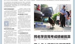 最新新闻事件爆料视频大全,聚焦时事热点，揭秘社会现象