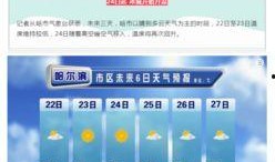 哈尔滨爆料最新消息今天,突发事件引发全城关注！